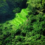 「高知県大豊町」　撮影者：上岡直見 撮影地：高知県大豊町