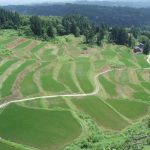 「小千谷市岩沢地区の棚田」　撮影者：田中赳夫　撮影地：小千谷市岩沢地区の棚田　撮影日：平成20年6月27日
