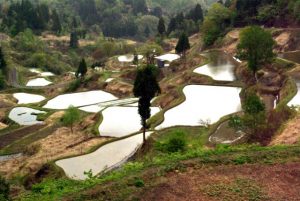 「十日町市　蒲生の棚田」　撮影者：中野力　撮影地：新潟県十日町市蒲生の棚田　撮影日：平成22年4月28日