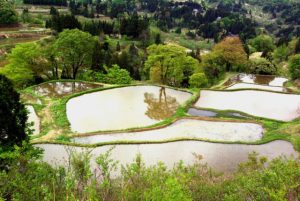 「十日町市　儀明の棚田」　撮影者：中野力　撮影地：新潟県十日町市儀明の棚田　撮影日：平成22年4月28日