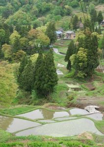 「十日町市　芝峠の棚田」　撮影者：遠藤久仁雄　撮影地：新潟県十日町市芝峠の棚田　撮影日：平成22年