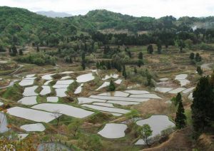 「十日町市　星峠の棚田」　撮影者：遠藤久仁雄　撮影地：新潟県十日町市星峠の棚田　撮影日：平成22年