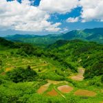 背景に刈羽黒姫山がそびえる広々とした松代清水の棚田は、2011年3月12日早朝に起きた長野新潟大震災によってほぼ全壊してしまった。復旧したとしても景色はかなり変わったものになるだろう。この写真は震災の前年の夏に撮影されたものである。　撮影者：萩谷敦　撮影地：十日町市松代清水 撮影日：2010年5月29日