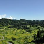 星峠の棚田 実りの秋を迎えた棚田はとても綺麗でした。 撮影者：久野 大輔　撮影地：新潟県十日町市・星峠の棚田　撮影日：2012年9月