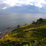 白米棚田 撮影者：川口　喜仙　撮影地：白米棚田（輪島市／石川県）　撮影日：2012年9月12日