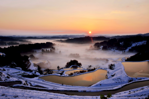 星峠の棚田 撮影者：石川　雄之助　撮影地：十日町市松代星峠（新潟県）　撮影日：2013年11月16日