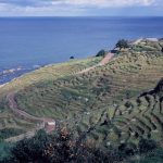 「晩秋の白米千枚田」　撮影者：松本弘　撮影地：石川県輪島市　撮影日