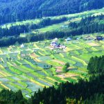 「京都市嵯峨越畑」　撮影者：織田寧人　撮影地：京都市嵯峨越畑　撮影日：2002年5月21日