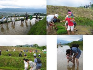 「長野県更埴市の棚田」　撮影者：田中克哉　撮影地：長野県更埴市　撮影日：2003年6月1日