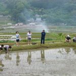 「長谷の棚田」　撮影者：小林明彦　撮影地：大阪府能勢町長谷の棚田　撮影日：2003年6月