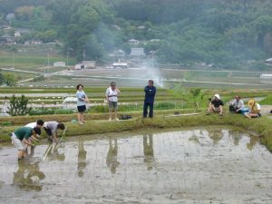 「長谷の棚田」　撮影者：小林明彦　撮影地：大阪府能勢町長谷の棚田　撮影日：2003年6月