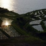 「白米千枚田」　撮影者：中野力　撮影地：石川県輪島市白米千枚田　撮影日：2003年6月19日">
