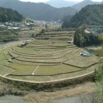 「あらぎ島」　撮影者：寺田 撮影地：和歌山「あらぎ島」　撮影日：200４年3月14日