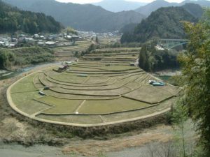 「あらぎ島」　撮影者：寺田 撮影地：和歌山「あらぎ島」　撮影日：200４年3月14日