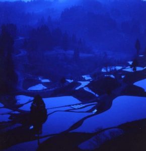 「松代」　撮影者：昼間義雄　撮影地： 松代（新潟県）　撮影日：2002年9月">