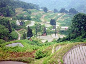 「山古志村2」　撮影者：中野力　　撮影地：新潟県山古志村　撮影日：2003年6月5日