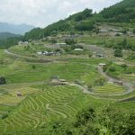 「丸山千枚田」　撮影者： 長尾雅彦 撮影地：三重県熊野市丸山千枚田　撮影日：2004年8月9日