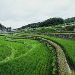 「兵庫県佐用町の乙大木谷　」　撮影者：中野浩行 撮影地：兵庫県佐用町乙大木谷　　撮影日：2006年8月3日