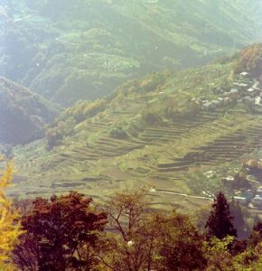 「長野県黒姫のバードライン」　撮影者：北出公洋　撮影地：長野県黒姫のバードライン　撮影日：1976年11月8日