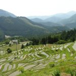 「三重県丸山千枚田」　撮影者：藤井一至 撮影地：三重県丸山千枚田　撮影日