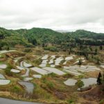 「十日町市　星峠の棚田」　撮影者：中野力　撮影地：新潟県十日町市星峠の棚田　撮影日：平成22年5月13日