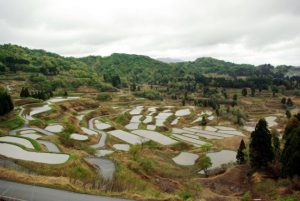 「十日町市　星峠の棚田」　撮影者：中野力　撮影地：新潟県十日町市星峠の棚田　撮影日：平成22年5月13日