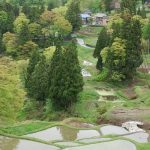 「十日町市　芝峠の棚田」　撮影者：遠藤久仁雄　撮影地：新潟県十日町市芝峠の棚田　撮影日：平成22年