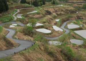 「十日町市　星峠の棚田」　撮影者：遠藤久仁雄　撮影地：新潟県十日町市星峠の棚田