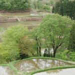 「十日町市　儀明の棚田」　撮影者：遠藤久仁雄　撮影地：新潟県十日町市儀明の棚田　撮影日：平成22年