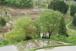 「十日町市　儀明の棚田」　撮影者：遠藤久仁雄　撮影地：新潟県十日町市儀明の棚田　撮影日：平成22年