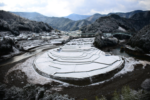 あらぎ島の棚田 撮影者：小西　由美　撮影地：あらぎ島（和歌山県）　撮影日：2014年3月10日