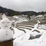 井仁の棚田 撮影者：高畑 裕美　撮影地：広島県山県郡筒賀村　撮影日：2013年1月14日