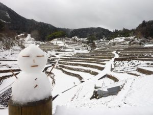 井仁の棚田 撮影者：高畑 裕美　撮影地：広島県山県郡筒賀村　撮影日：2013年1月14日