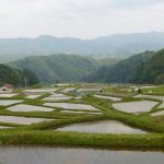 山王寺の棚田 撮影者：高畑 裕美　撮影地：島根県　山王寺　撮影日：2013年5月15日