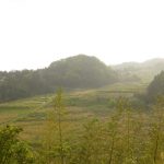 "山王寺の棚田 撮影者：高畑 裕美　撮影地：島根県　山王寺　撮影日：2013年5月15日コメント：下から見る棚田は、上まできれいに並んでいてすごくキレイなのですが、荒れているところが多く、とても残念で寂しい気持ちになりました。撮影に行かれる方も、現役の田んぼだけでなく、こういった所にも目を向けてほしいなと思いました。