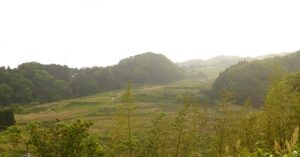 "山王寺の棚田 撮影者：高畑 裕美　撮影地：島根県　山王寺　撮影日：2013年5月15日コメント：下から見る棚田は、上まできれいに並んでいてすごくキレイなのですが、荒れているところが多く、とても残念で寂しい気持ちになりました。撮影に行かれる方も、現役の田んぼだけでなく、こういった所にも目を向けてほしいなと思いました。