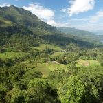 スリランカの棚田 撮影者：石川公康　撮影地：スリランカ ヌワラエリヤ　撮影日：2019年1月14日