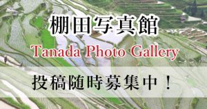 棚田写真館