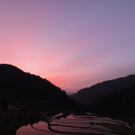 井仁の棚田 撮影者：高畑 裕美　撮影地：広島県東広島市高屋町中島　撮影日：2015年5月17日