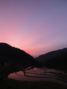 井仁の棚田 撮影者：高畑 裕美　撮影地：広島県東広島市高屋町中島　撮影日：2015年5月17日