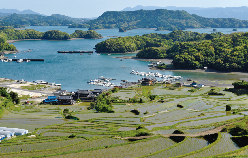 大浦の棚田