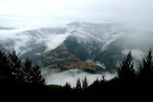 天空の棚田 撮影者：森下富夫　撮影地：宮崎県椎葉村仙人棚田　撮影日：2018年12月26日