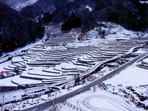 「柿木村大井谷」　撮影者：織田寧人　撮影地：島根県柿木村大井谷　撮影日：2003年２月2日