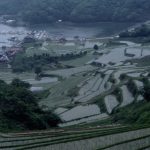 「佐賀県肥前の大浦の棚田」　撮影者：昼間義雄 撮影地：佐賀県肥前大浦　撮影日：2003年5月10日