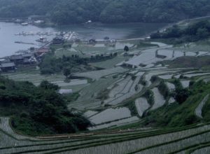 「佐賀県肥前の大浦の棚田」　撮影者：昼間義雄 撮影地：佐賀県肥前大浦　撮影日：2003年5月10日