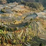 「老虎嘴の棚田」　撮影者：Lydia　撮影地：老虎嘴の棚田