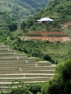 「ベトナムの棚田」　撮影者：角尾貞之　撮影：ベトナムの棚田