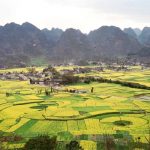 「中国の棚田」　撮影者：Lydia　撮影地：中国の棚田