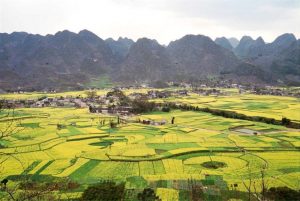 「中国の棚田」　撮影者：Lydia　撮影地：中国の棚田