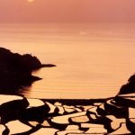 「玄海町・浜野浦の棚田」　撮影者：林高久 撮影地：佐賀県玄海町の浜野浦の棚田　撮影日：2004年4月24日